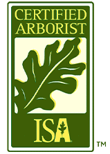 Certified Arborist ISA Fort Worth