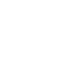 check white